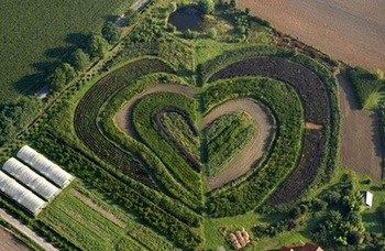 hearts_in_nature_01.jpg